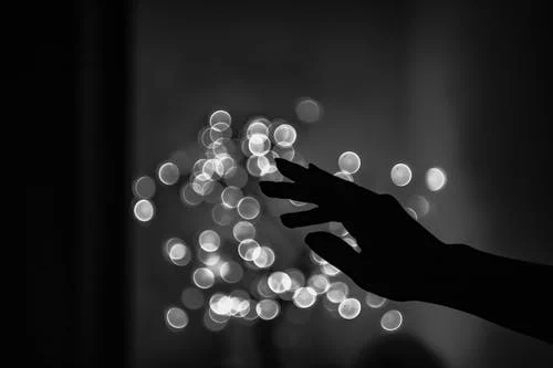 我喜欢黑夜，只有淡淡的月光和遥望夜空